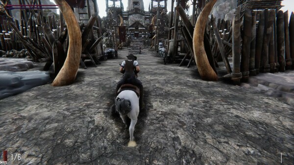 Story of the Olivia.