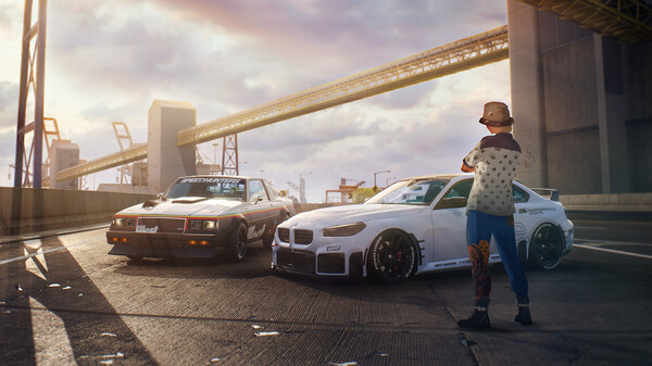 Full Size Image
