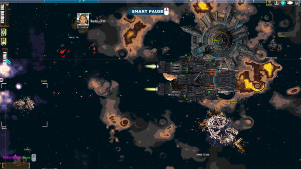 Screenshot z Pirate Patrol