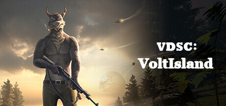 VDSC: VoltIsland Cover Image