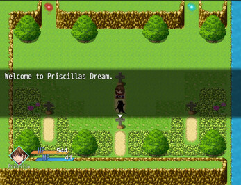 Priscillas Dream