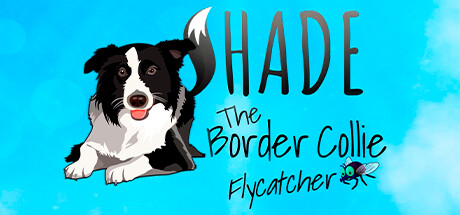 SHADE The Border Collie Flycatcher steam charts