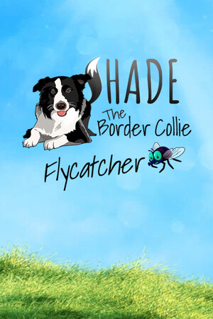 SHADE The Border Collie Flycatcher cover art