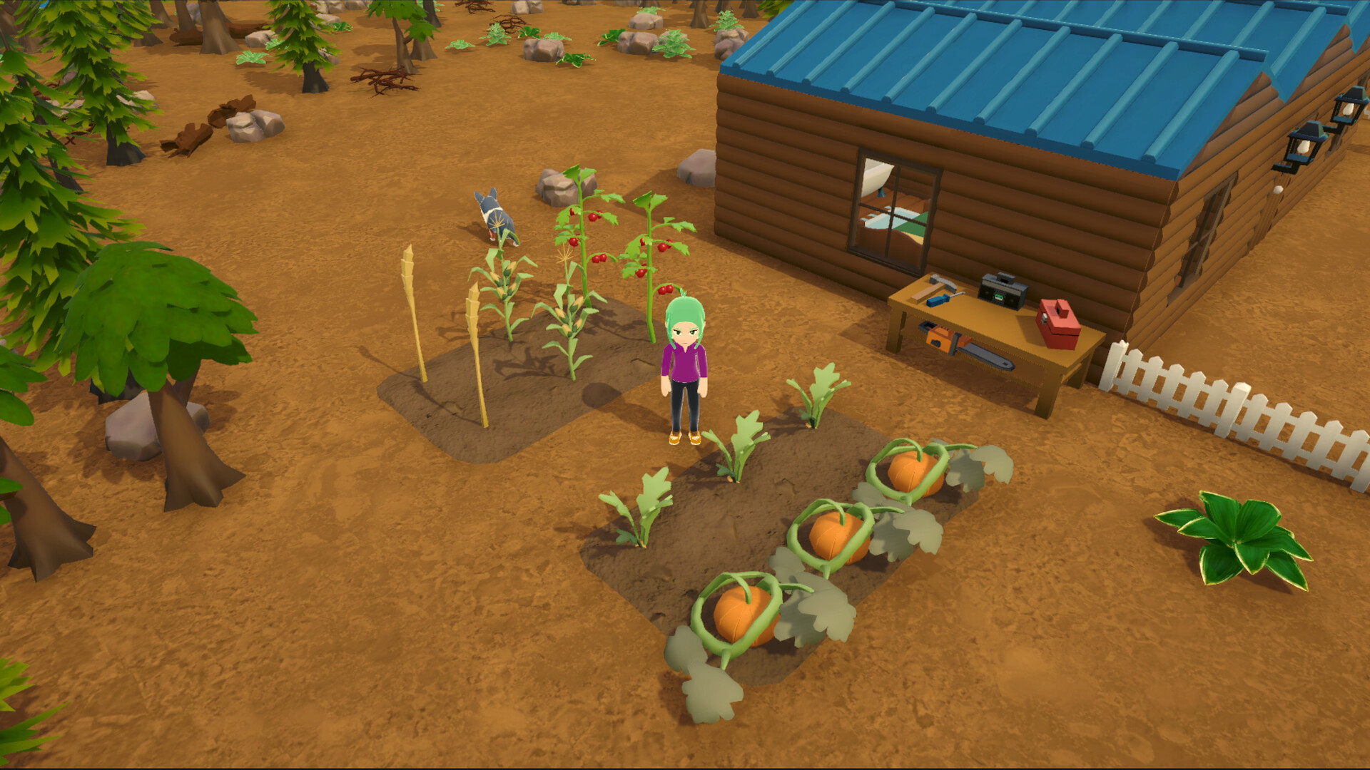 Alpine Lake screenshot #10