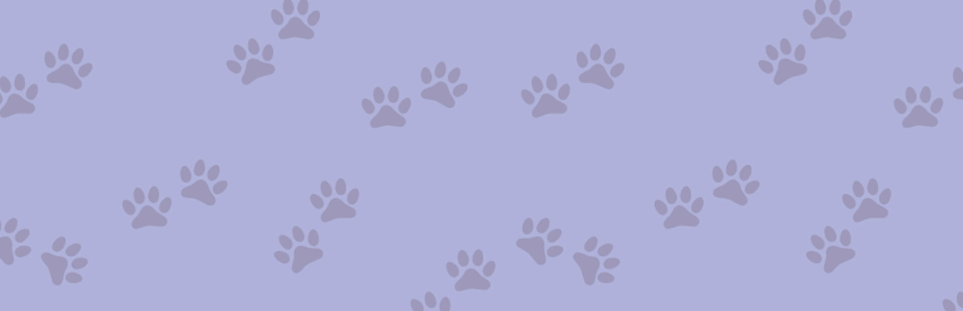 1001 Jigsaw. Cute Cats 4