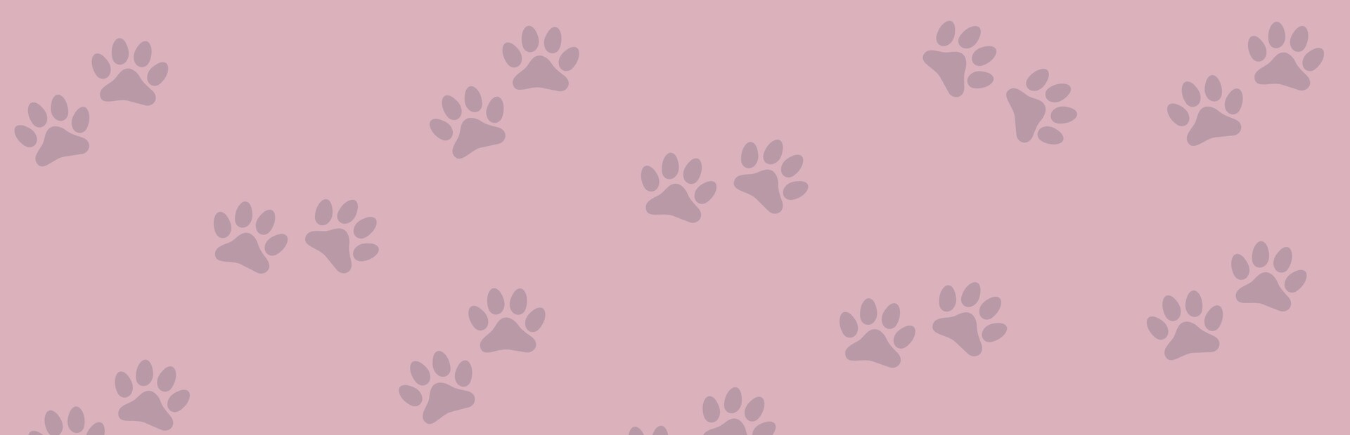 1001 Jigsaw. Cute Cats 5