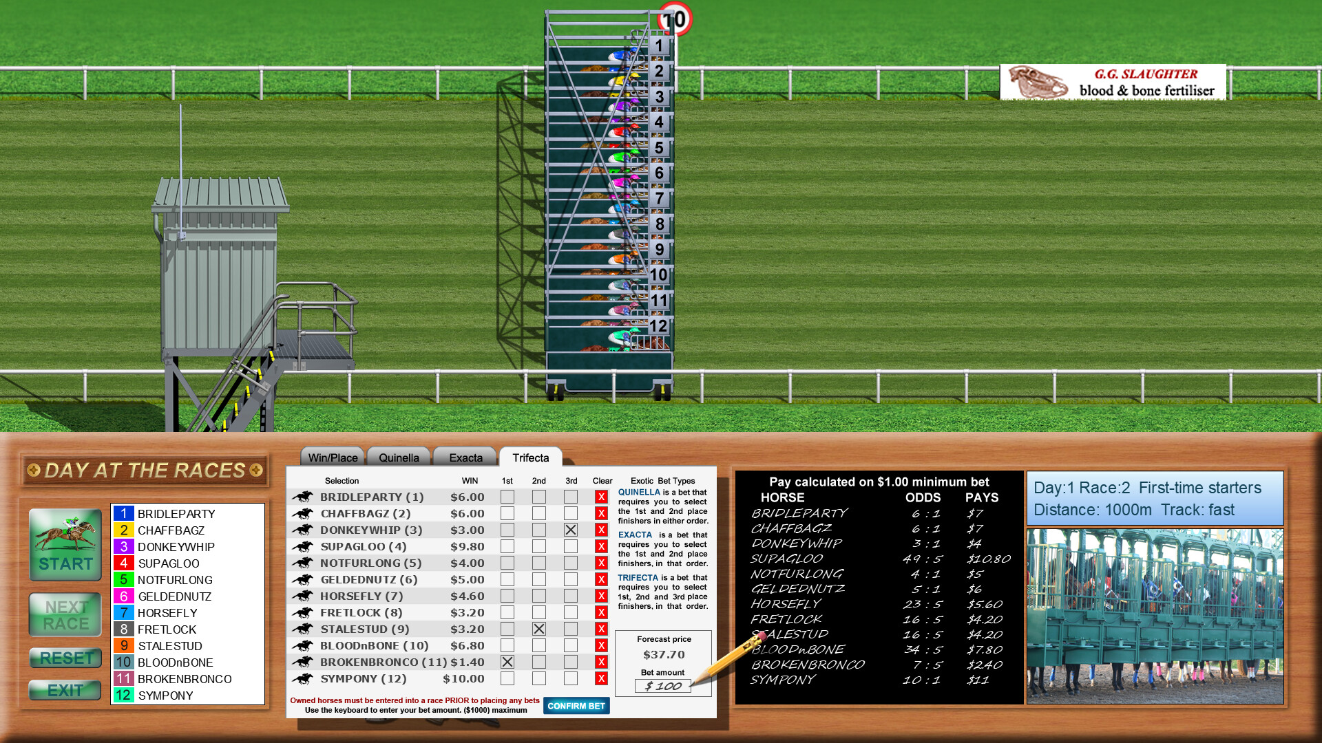Day at the Races screenshot #5
