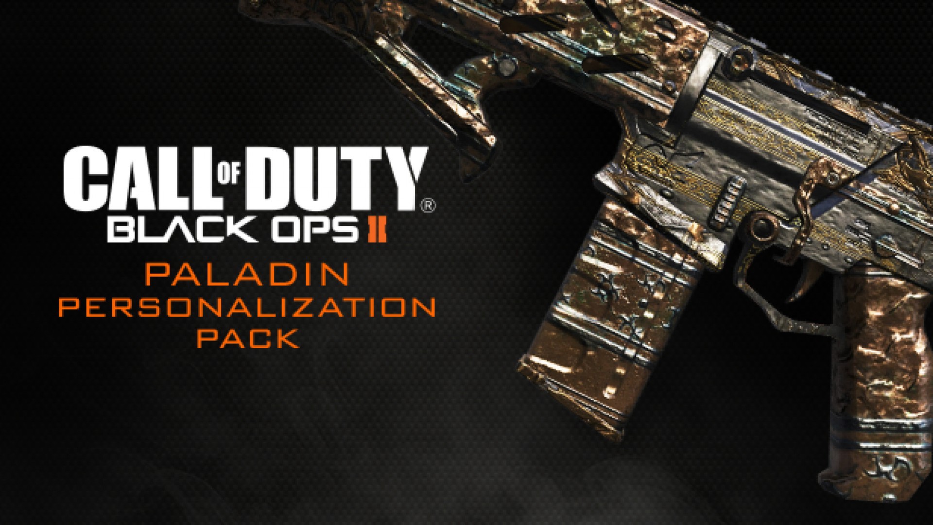 Call of Duty®: Black Ops II - Paladin Personalization Pack Featured Screenshot #1