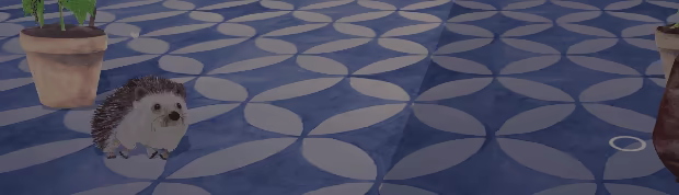 Pocket Oasis video 2