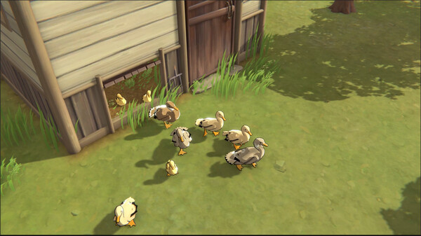 Litchi Town screenshot 16