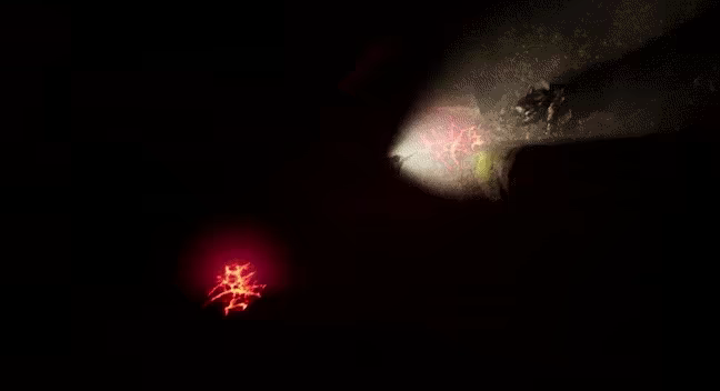 Swarm Survivor video 2