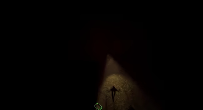 Swarm Survivor video 1