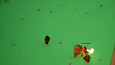 Screenshot #7