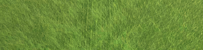 Robot Lawn Mower video 2