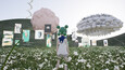 Screenshot #1