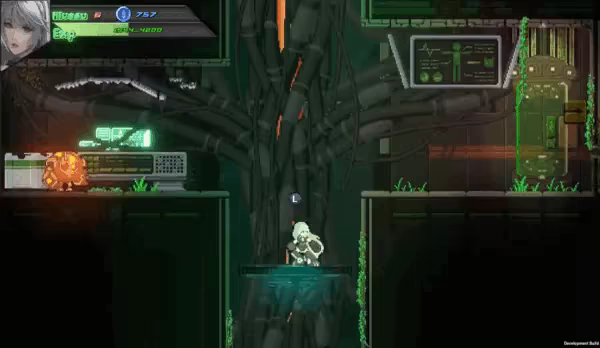 Neko's Rage video 1