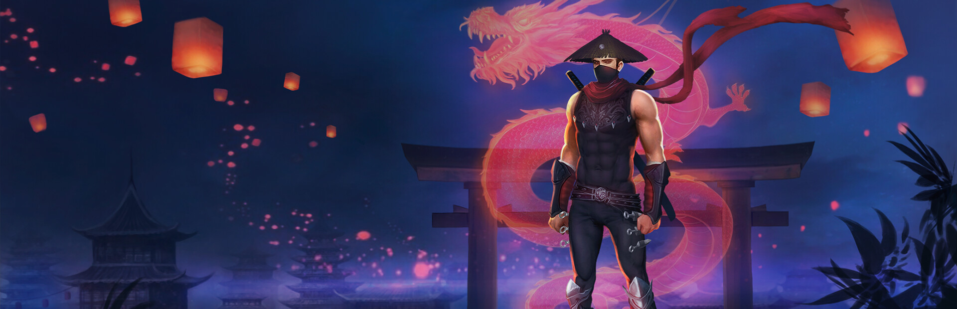 Revenge of the shadow ninja