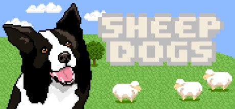 Sheepdogs steam charts