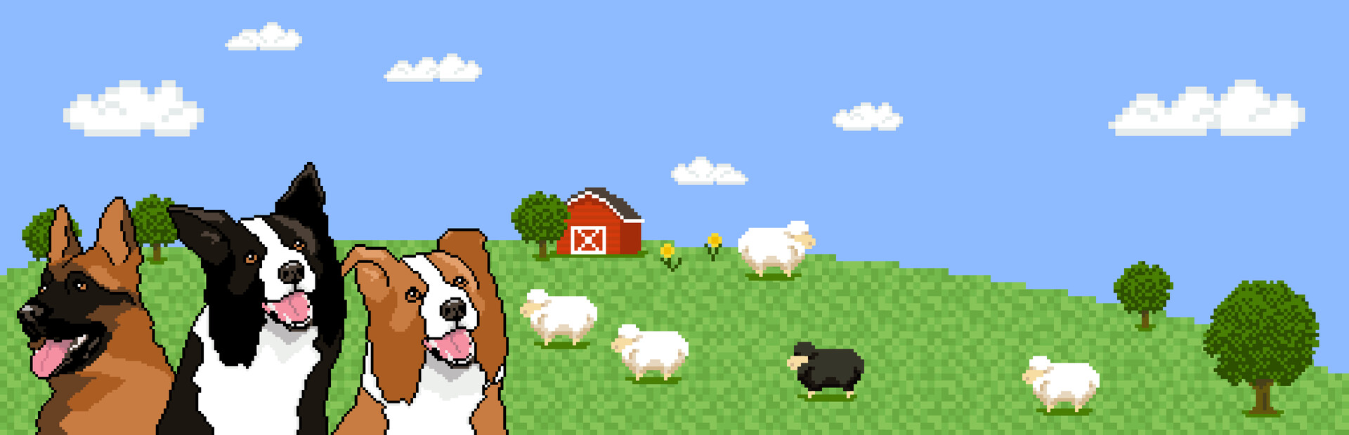 Sheepdogs