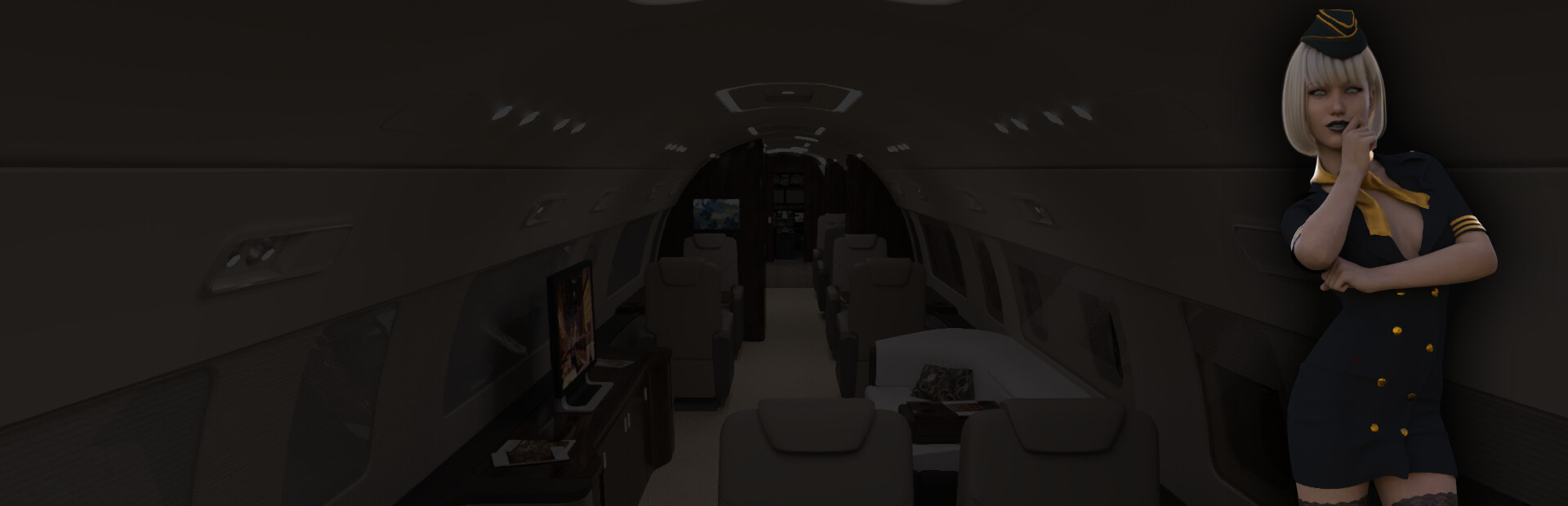 Sex Simulator - The Private Jet