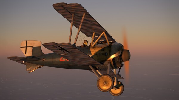 IL-2 Sturmovik: SSW D.IV Collector Plane