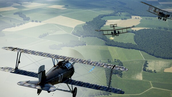 IL-2 Sturmovik: SSW D.IV Collector Plane