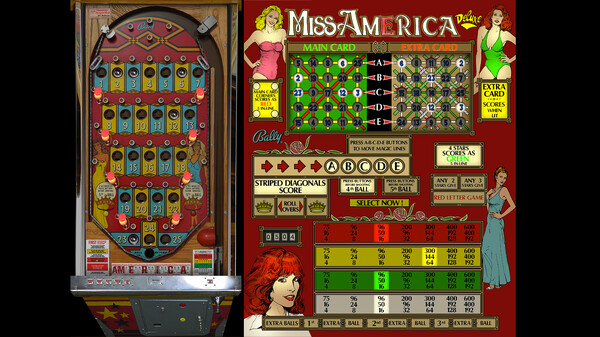 Bingo Pinball Gameroom