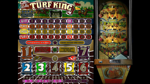 Bingo Pinball Gameroom