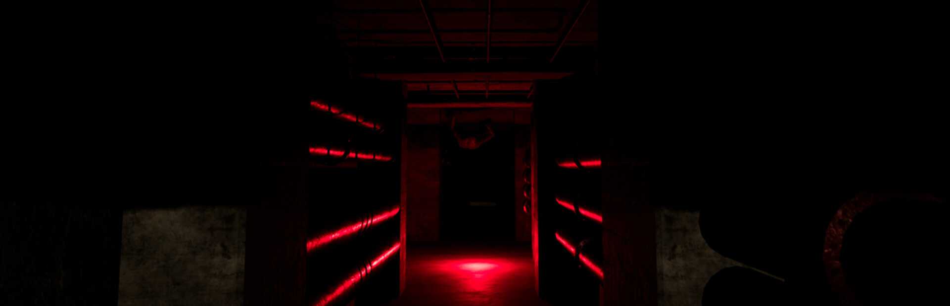 Backrooms Project: The lost file