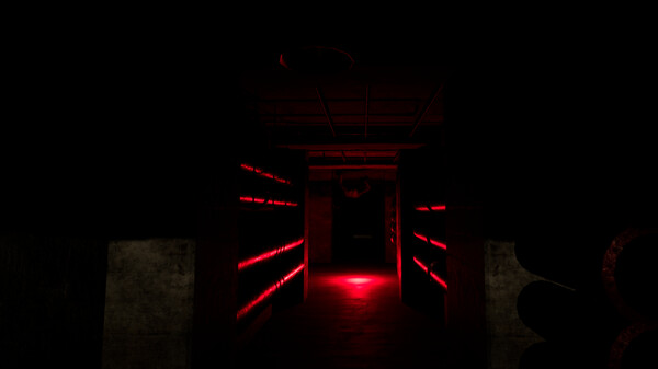 Backrooms Project: The lost file screenshot 5