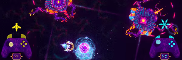 NIDUS video 2
