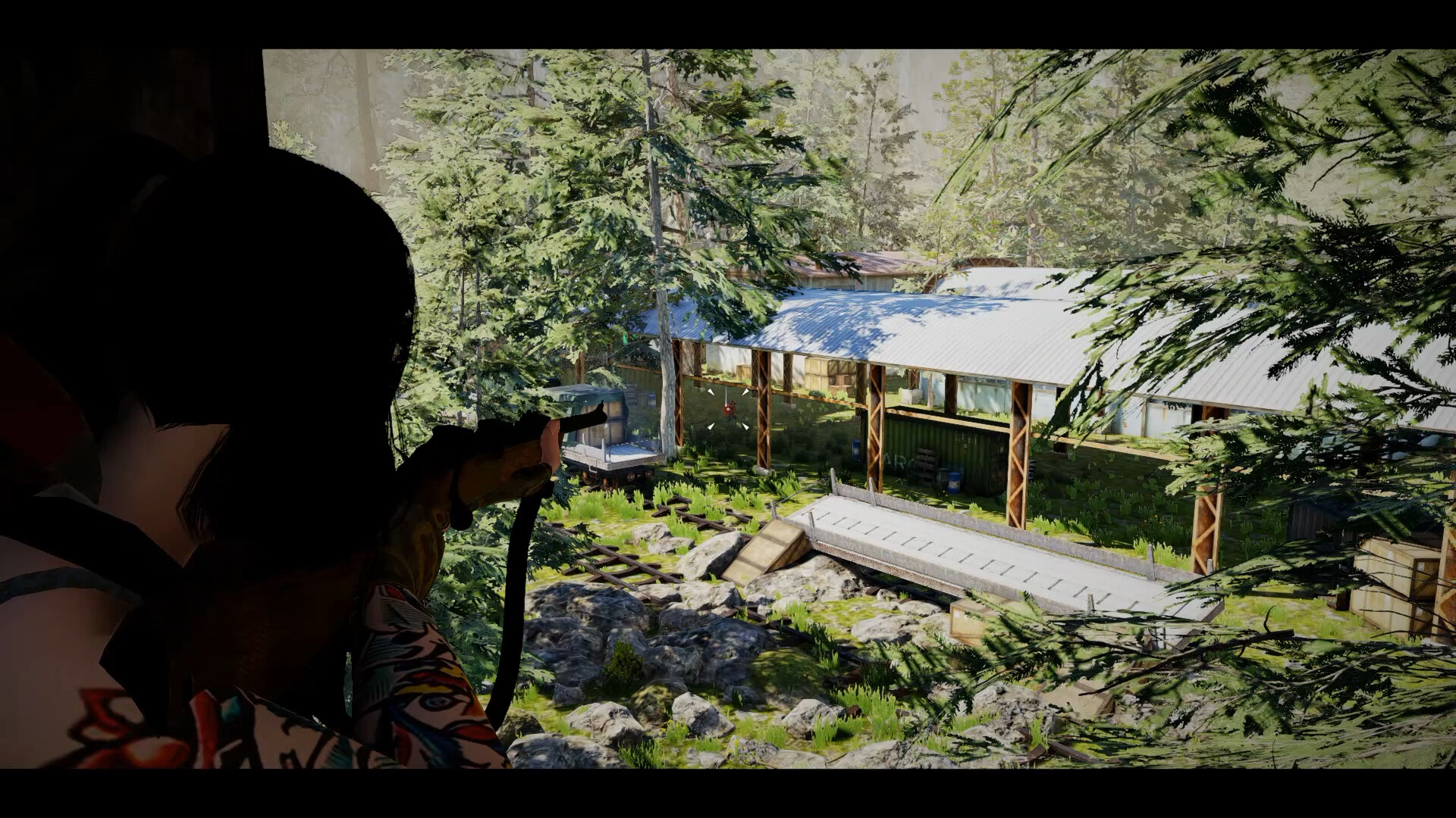 The Game of Annie 安妮的游戏