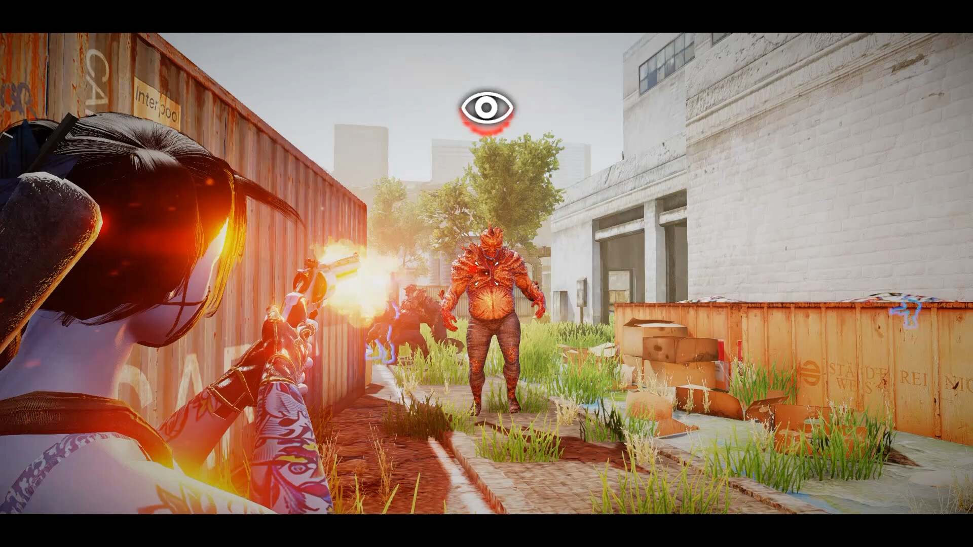 The Game of Annie 安妮的游戏