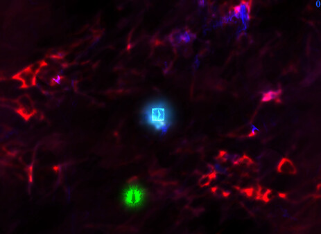 Forced Sacrifice: HEJLED Unlock All DLC.