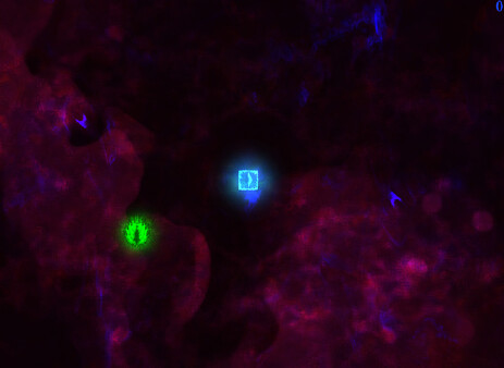 Forced Sacrifice: HEJLED Unlock All DLC.