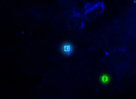 Forced Sacrifice: HEJLED Unlock All DLC.