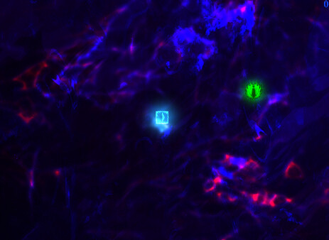 Forced Sacrifice: HEJLED Unlock All DLC.