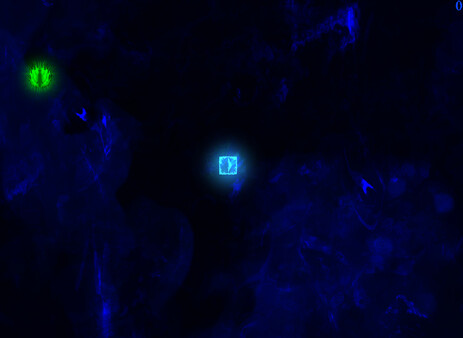 Forced Sacrifice: HEJLED Unlock All DLC.