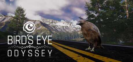 Bird's Eye Odyssey Cover Image