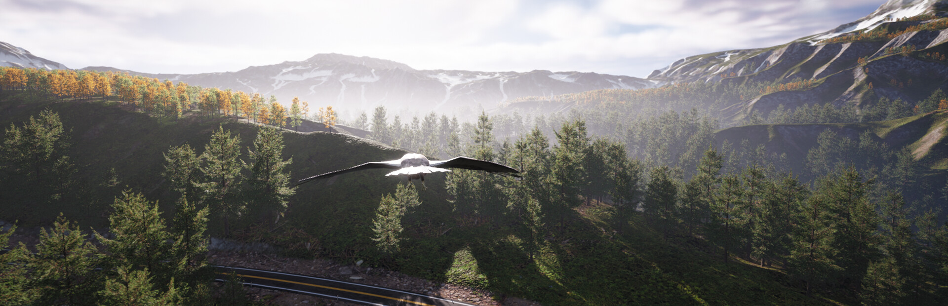 Bird's Eye Odyssey