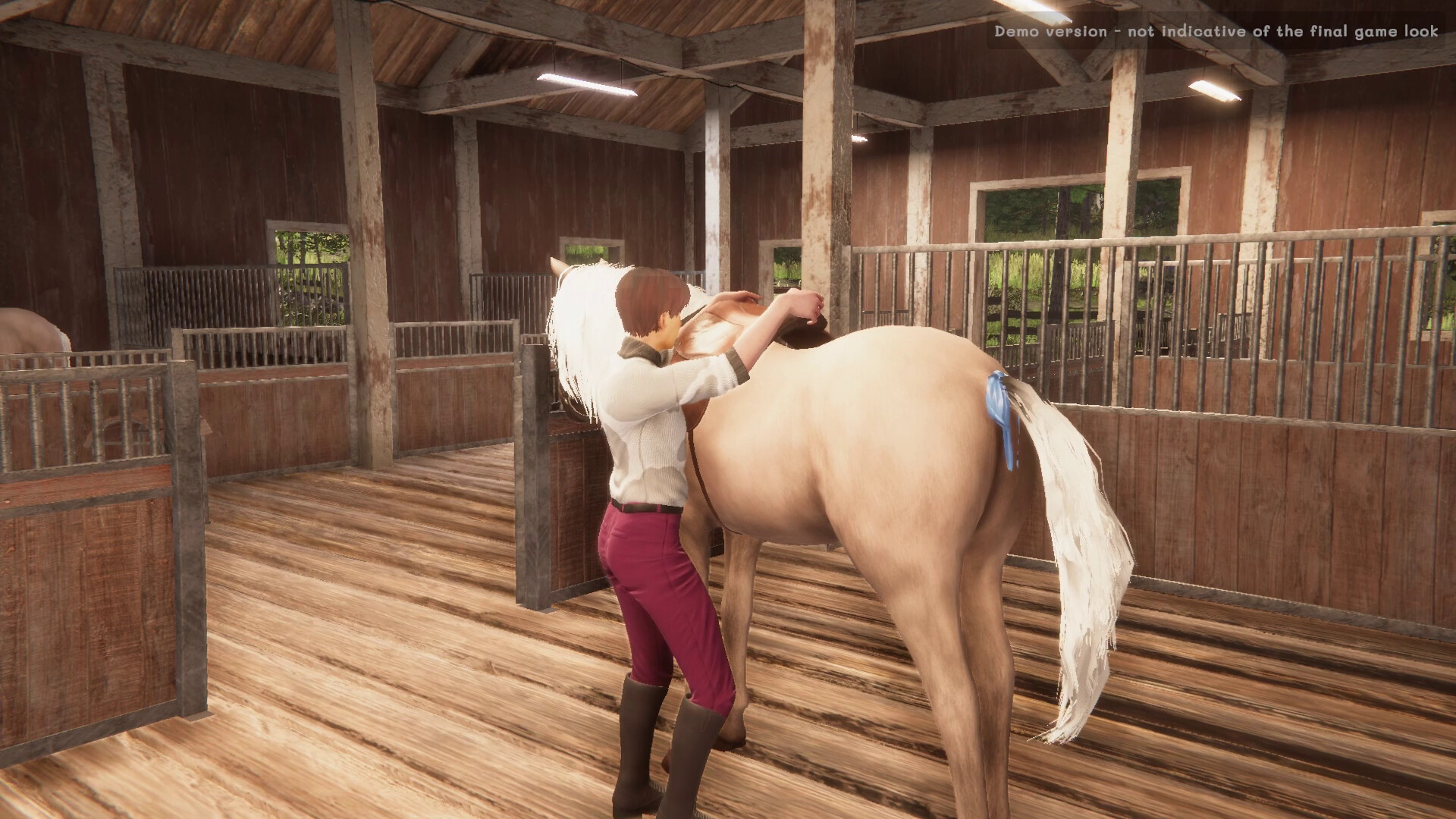 My Horse: Bonded Spirits on Steam