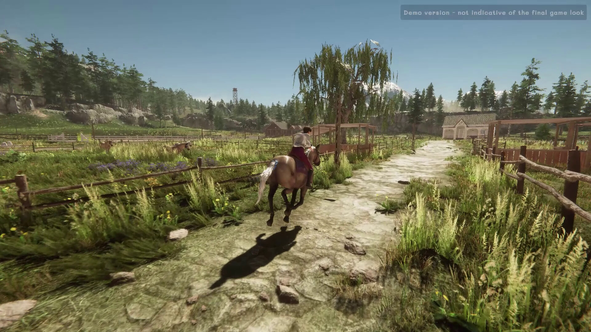 My Horse: Bonded Spirits screenshot 13