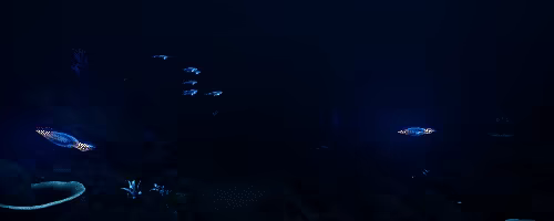 The Last Explorer video 4