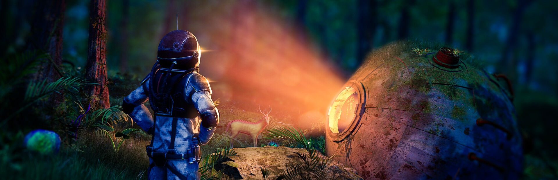 The Last Explorer