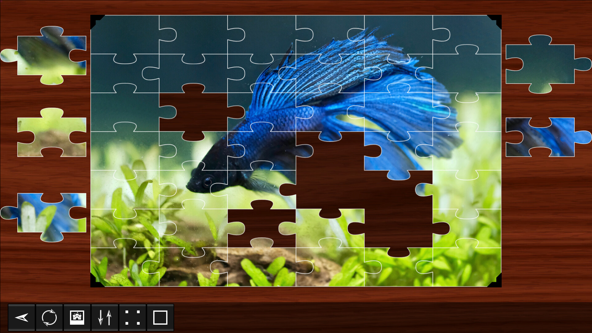 Jigsaw Puzzle World - Fish Featured Screenshot #1