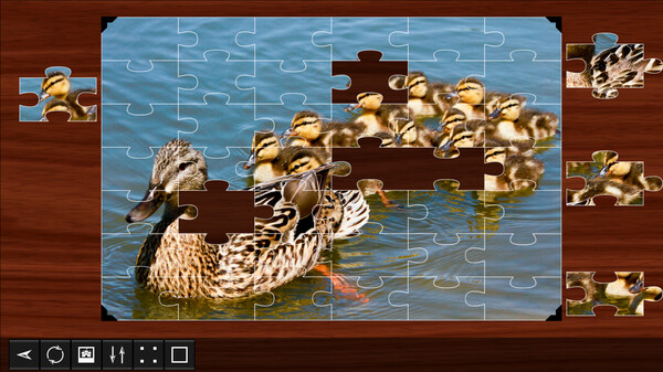 Jigsaw Puzzle World - Birds