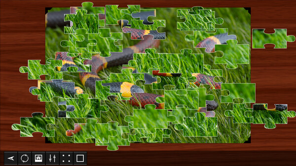 Jigsaw Puzzle World - Reptiles 2