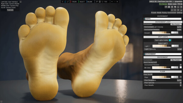 HAELE 3D - Feet Poses Lite - Drawing References.
