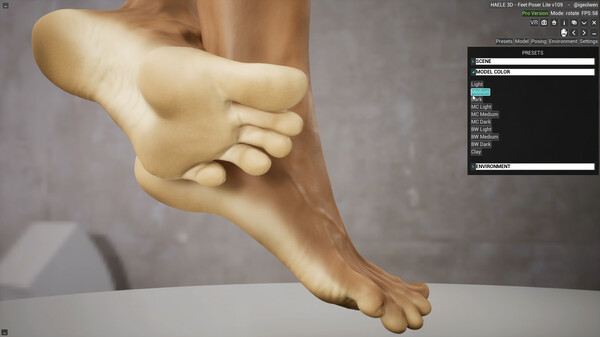 HAELE 3D - Feet Poses Lite - Drawing References