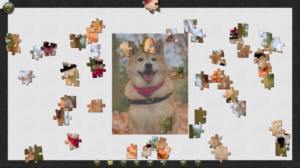 1001 Jigsaw World Tour Japan.